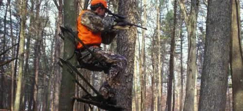 Vienne : la préfecture autorise la chasse pendant le confinement