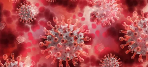 CHRU Tours : plusieurs clusters au sein de services de l’hôpital