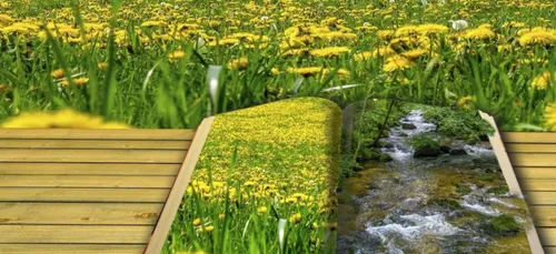 Lecture de poèmes au téléphone pendant le confinement par un...