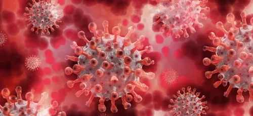 Covid-19 : le virus circule activement dans certains secteurs des...