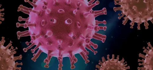 Nouveau cluster détecté en Haute-Vienne