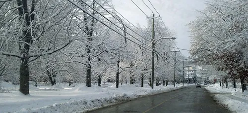 Vigilance orange neige-verglas dans le Loiret et le Loir-et-Cher