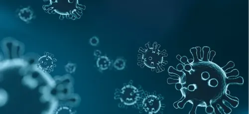 Covid : plusieurs cas de variant sud-africain détectés dans la Vienne