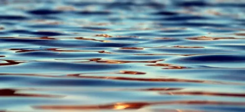 Une prime pour supprimer des étangs sur le bassin de la Vienne