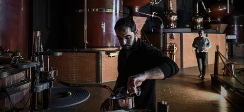 Poitou-Charentes : la filière du Cognac reprend des couleurs