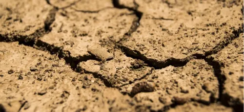 Haute-Vienne : 2 millions d'euros pour les éleveurs touchés par la...