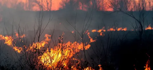 Charente-Maritime : un grave incendie ravage 100 hectares de forêt