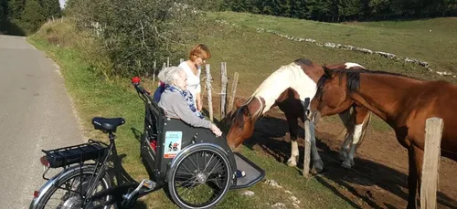 Saint-Pierre-d’Oléron : « À vélo sans âge » propose des balades en...