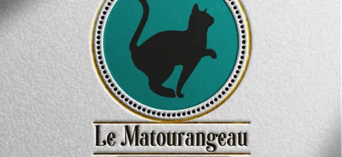 Tours : ouverture prochaine d’un hôtel de luxe pour chats