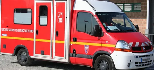 Deux-Sèvres : un homme meurt écrasé par un arbre