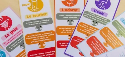 Limoges : un jeu contre le gaspillage alimentaire