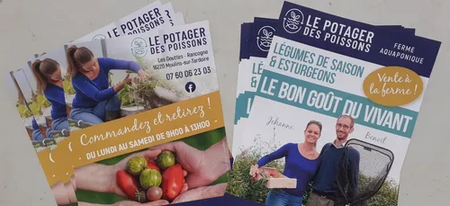 Des poissons dans un potager : découvrez l’aquaponie en Charente !