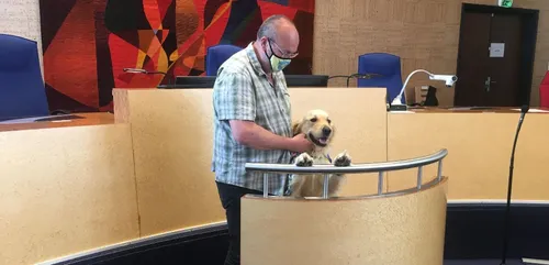 Loiret : des chiens d’assistance judiciaire pour soutenir les...