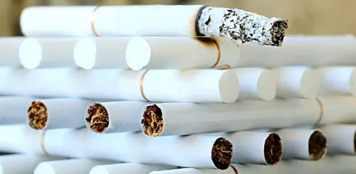 La Rochelle : 14,5 tonnes de tabac de contrebande détruites