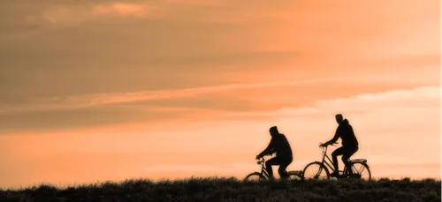 Deux-Sèvres : 8 cyclistes victimes d’une grave attaque d’abeilles