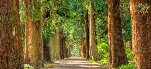 Loiret : donnez vos idées pour améliorer les parcs !