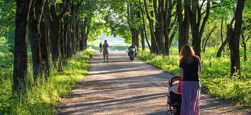 Un couple lâche sa poussette pour prendre une photo, son bébé tombe...