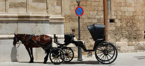 Maine-et-Loire : une calèche termine dans un fossé
