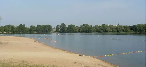 Orléans : baignade toujours interdite à l’île Charlemagne