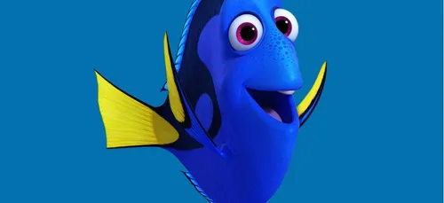 Avoir une mémoire de poisson rouge serait un signe d’intelligence !