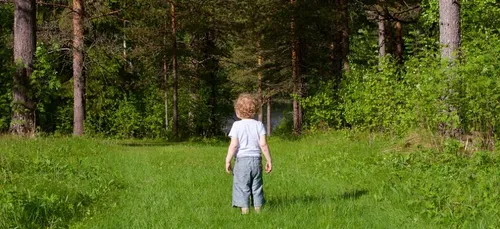 Saumur : un enfant se perd dans la forêt