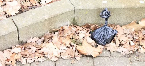 Tours : la chasse aux incivilités est lancée !