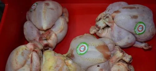 Honte à ces bouchers sans scrupules, obsédés par l’appât du gain