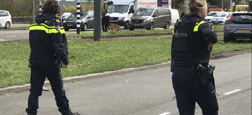 Pays-Bas :  Un bilan provisoire fait état d'au moins trois morts et...