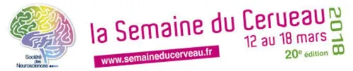 Venez rencontrer ce dimanche à Dijon des chercheurs qui travaillent...