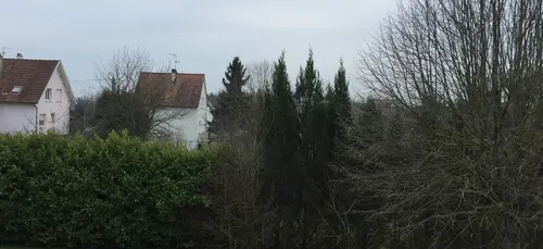 Temps hivernal en Côte d’Or pour le premier jour du Printemps