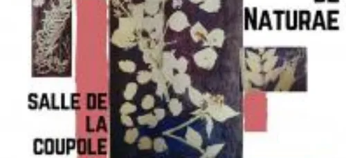 L’Exposition « De Corps et Dames » débute ce vendredi à Dijon