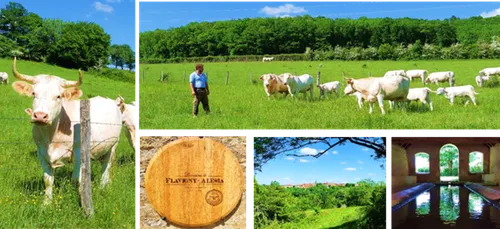 Une balade gourmande ce dimanche à Flavigny-sur-Ozerain