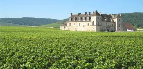 Le mois des Climats de Bourgogne a commencé