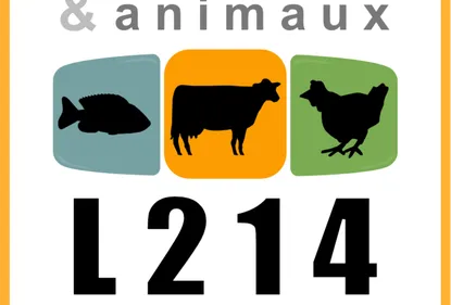 Nouvelle action de L214 à Dijon