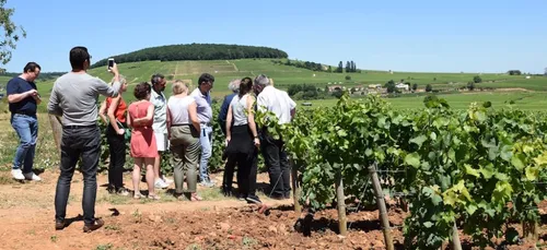 Expérience unique de dégustation à l’École des vins de Bourgogne