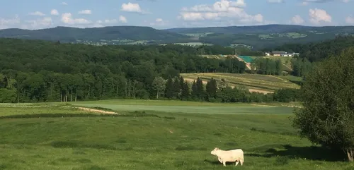 Création du Parc National Champagne Bourgogne : les agriculteurs...