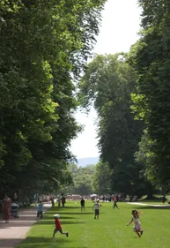 La ville de Dijon tente de combattre la canicule