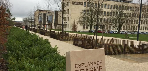 Dijon parmi les "meilleures" villes étudiantes de France