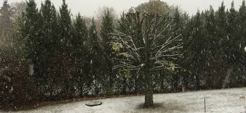 Tempête de neige à Dijon