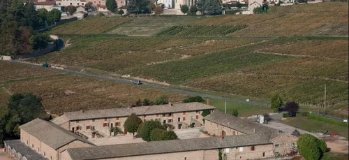 Un négociant viticole de Meursault annonce une nouvelle vente...