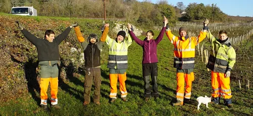 Elle incite les viticulteurs à recycler leur bois de vigne