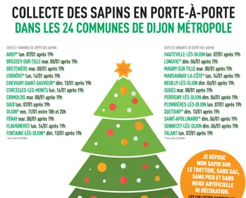 Sapins recyclables: Bonne récolte cette année