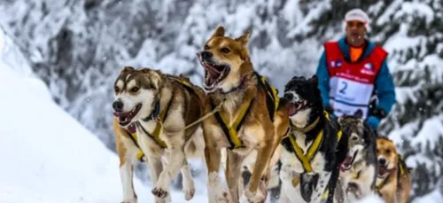 NOUVEAU DÉFI POUR DANIEL JUILLAGUET, LA YUKON QUEST