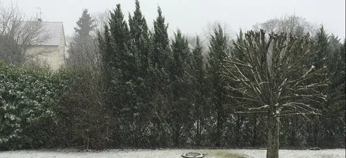 De la neige à Dijon !