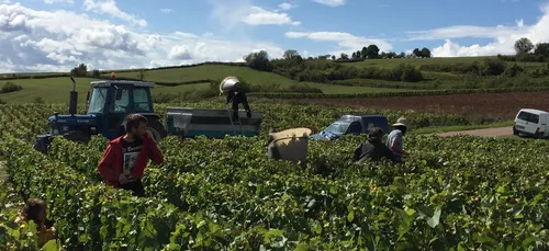 Le niveau de vie des agriculteurs de Bourgogne