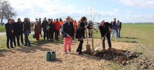 Le premier arbre du verger bio de Quetigny a été planté