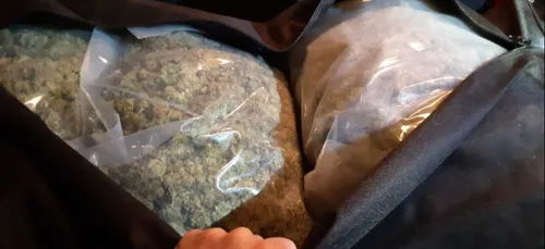 43,1 Kilos d’herbe de cannabis saisis à Arc sur Tille