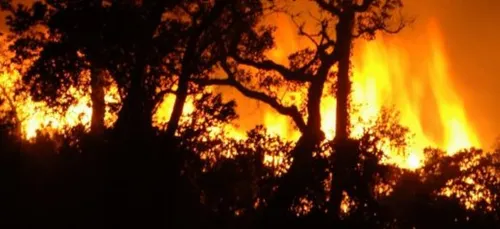 Incendie de forêt : la préfecture de Côte d’Or rappelle les règles...