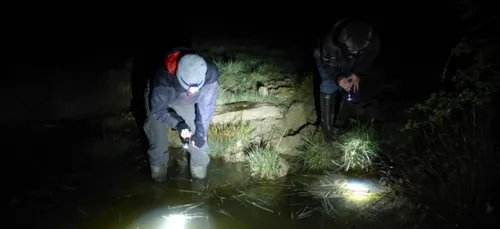 Des mares restaurées en Côte d’Or