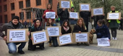 Ils manifestent ce vendredi à Dijon pour la cause animale